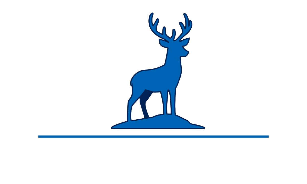 Frozen Lake Games